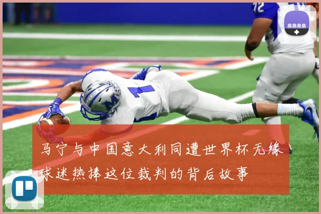 马宁与中国意大利同遭世界杯无缘球迷热捧这位裁判的背后故事