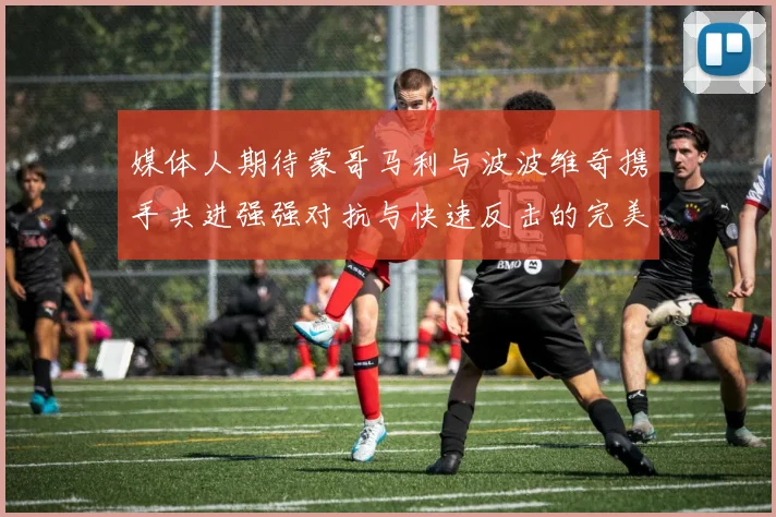媒体人期待蒙哥马利与波波维奇携手共进强强对抗与快速反击的完美结合