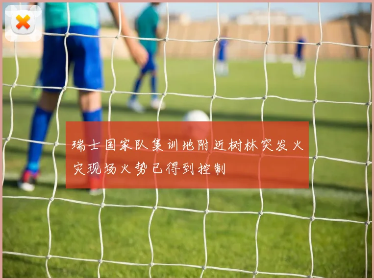 瑞士国家队集训地附近树林突发火灾现场火势已得到控制